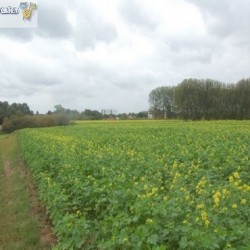 dsc 0527 - Sportraad Zaventem 